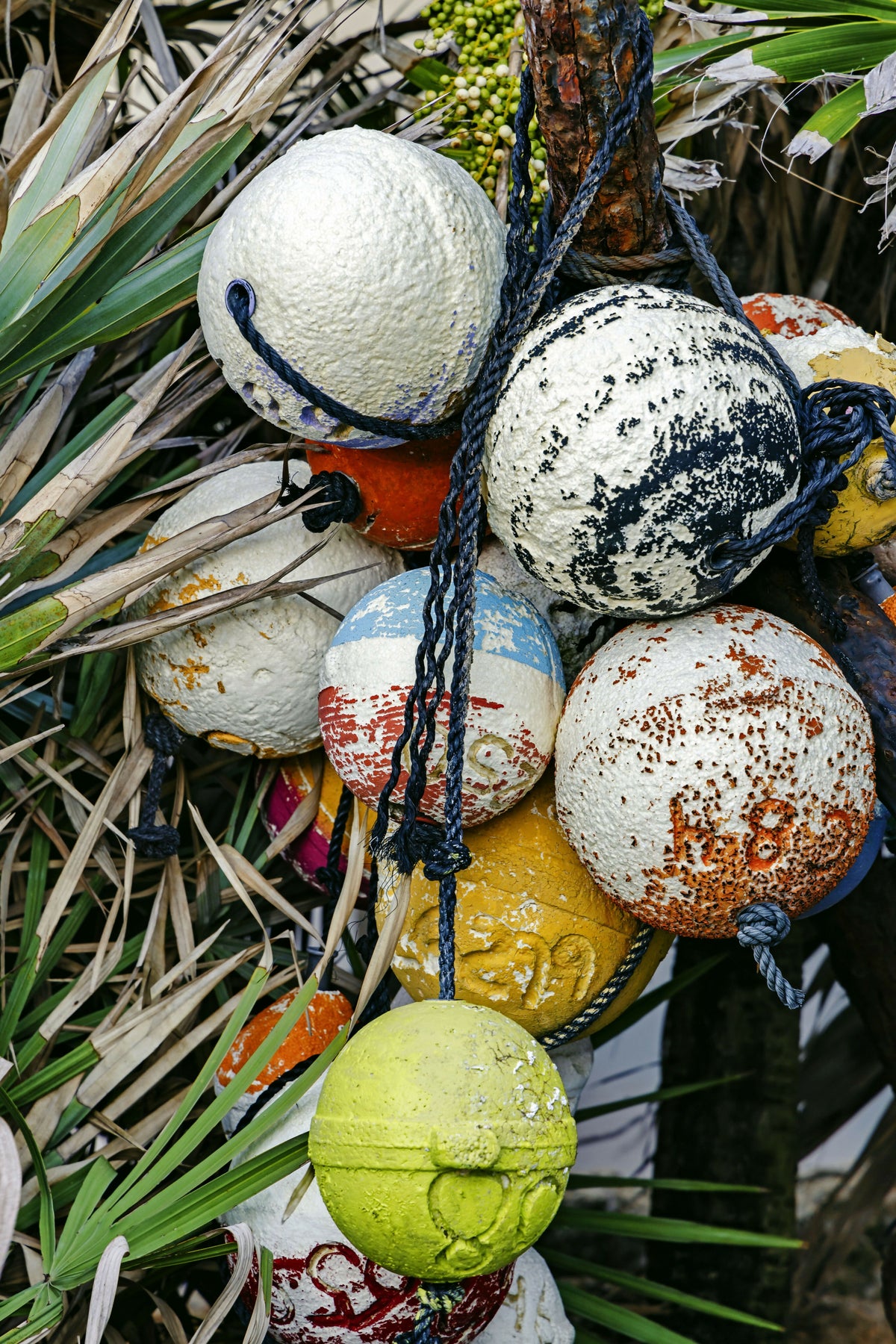 Still Life of Buoys
