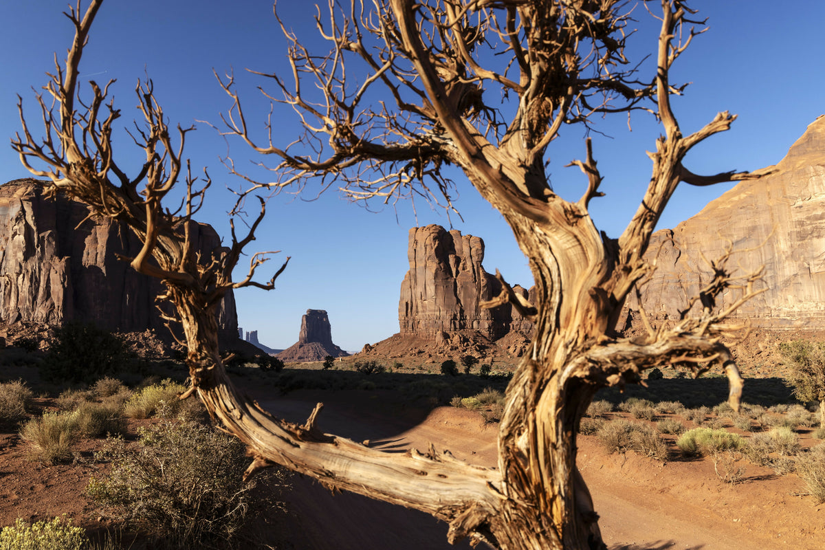 Arizona, Monument Valley Tribal Park, Monument Valley – A Inspiring View