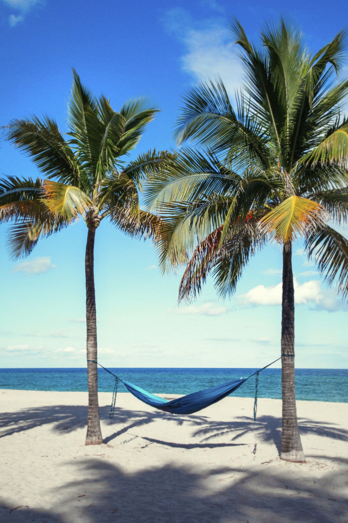 Florida, South Florida, Hollywood Beach, Hammock Hanging Between Two Palm Trees