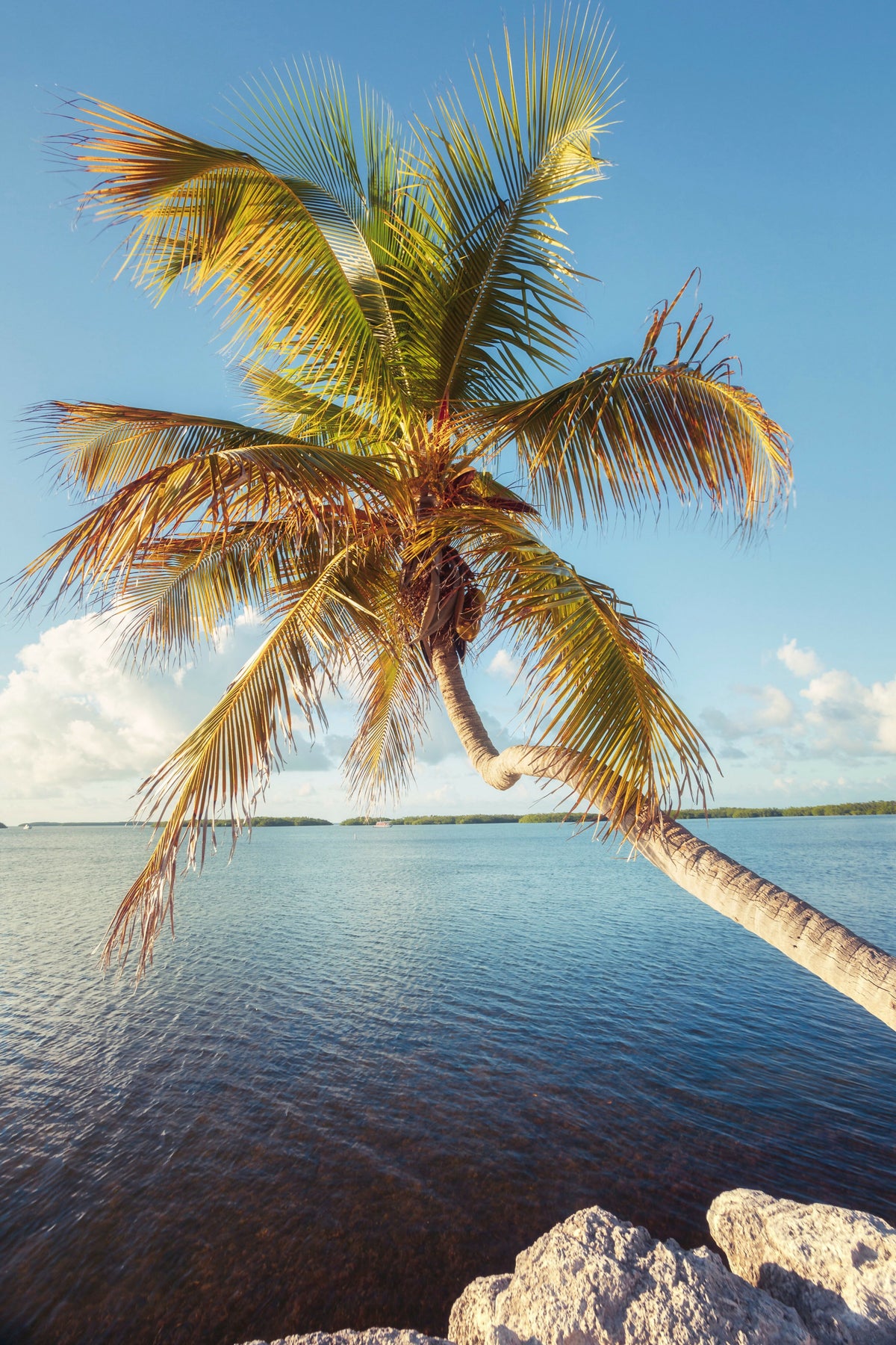 Florida, Islamorada
