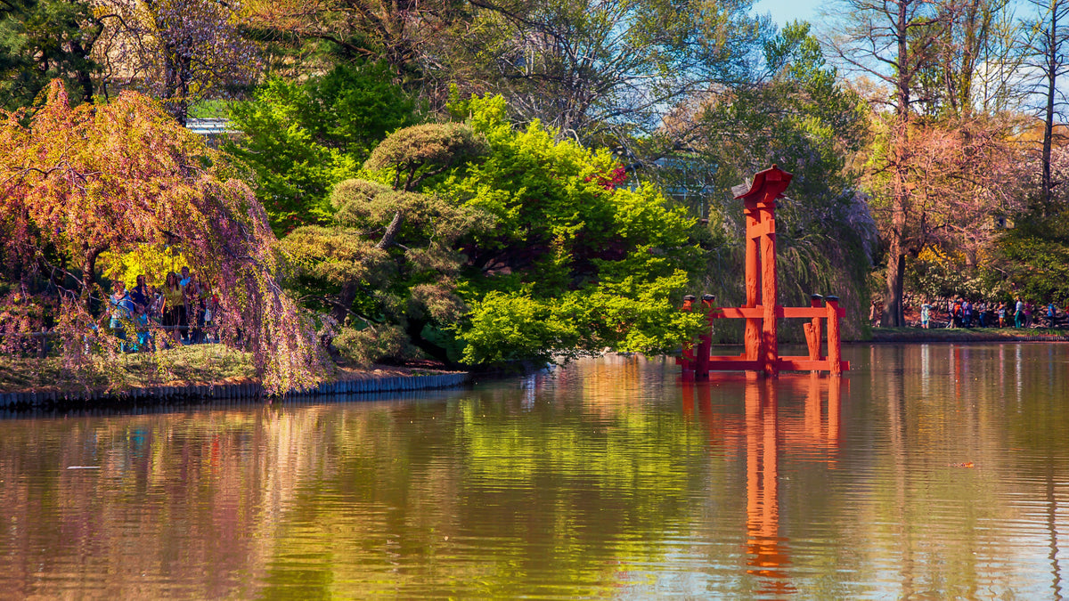 New York, New York City, Brooklyn Botanic Garden, Japanese Hill and Pond Garden