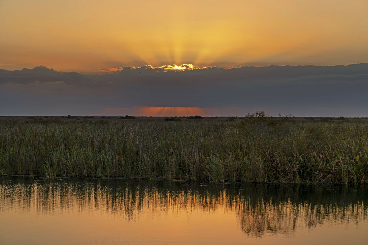 Dramatic Sunset