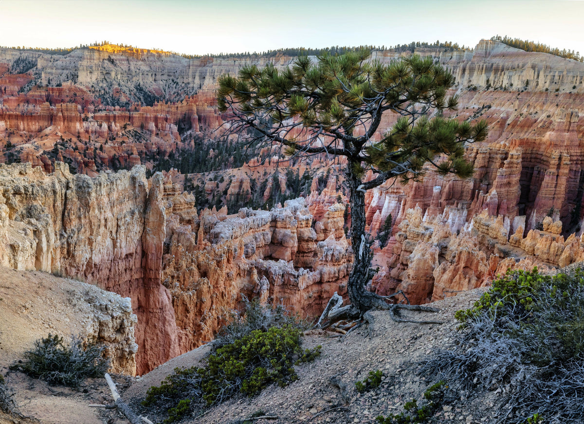 Utah, Bryce Canyon National Park, Colorado Plateau – A Beautiful View