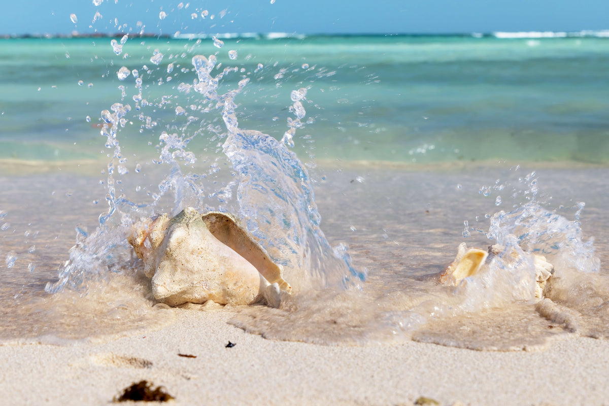 Aruba, Baby Beach Scene