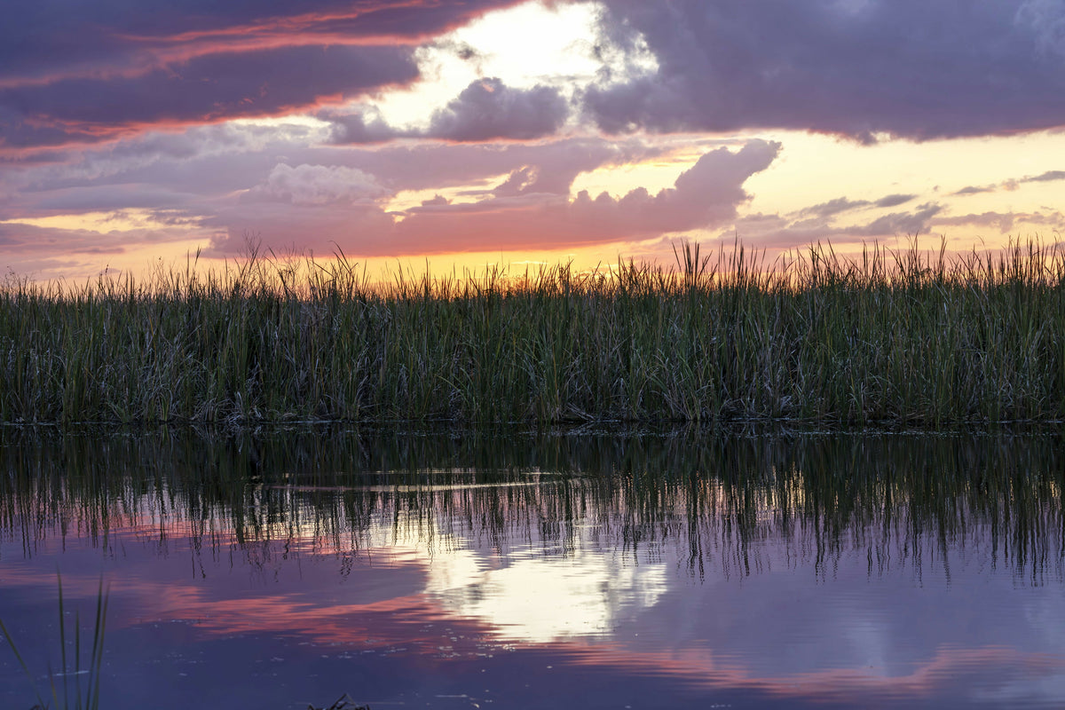 Dramatic Sunset over the Everglades