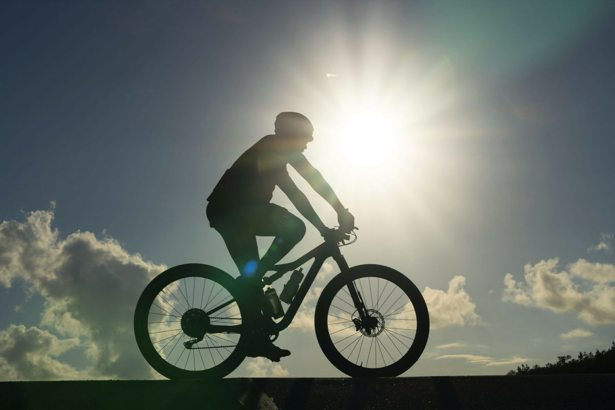 Sunny Silhouette of Man Riding Bicycle
