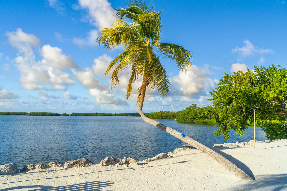 Florida, South Florida, the Keys, Islamorada