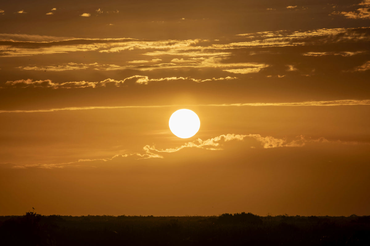 Beautiful Dramatic Sunset