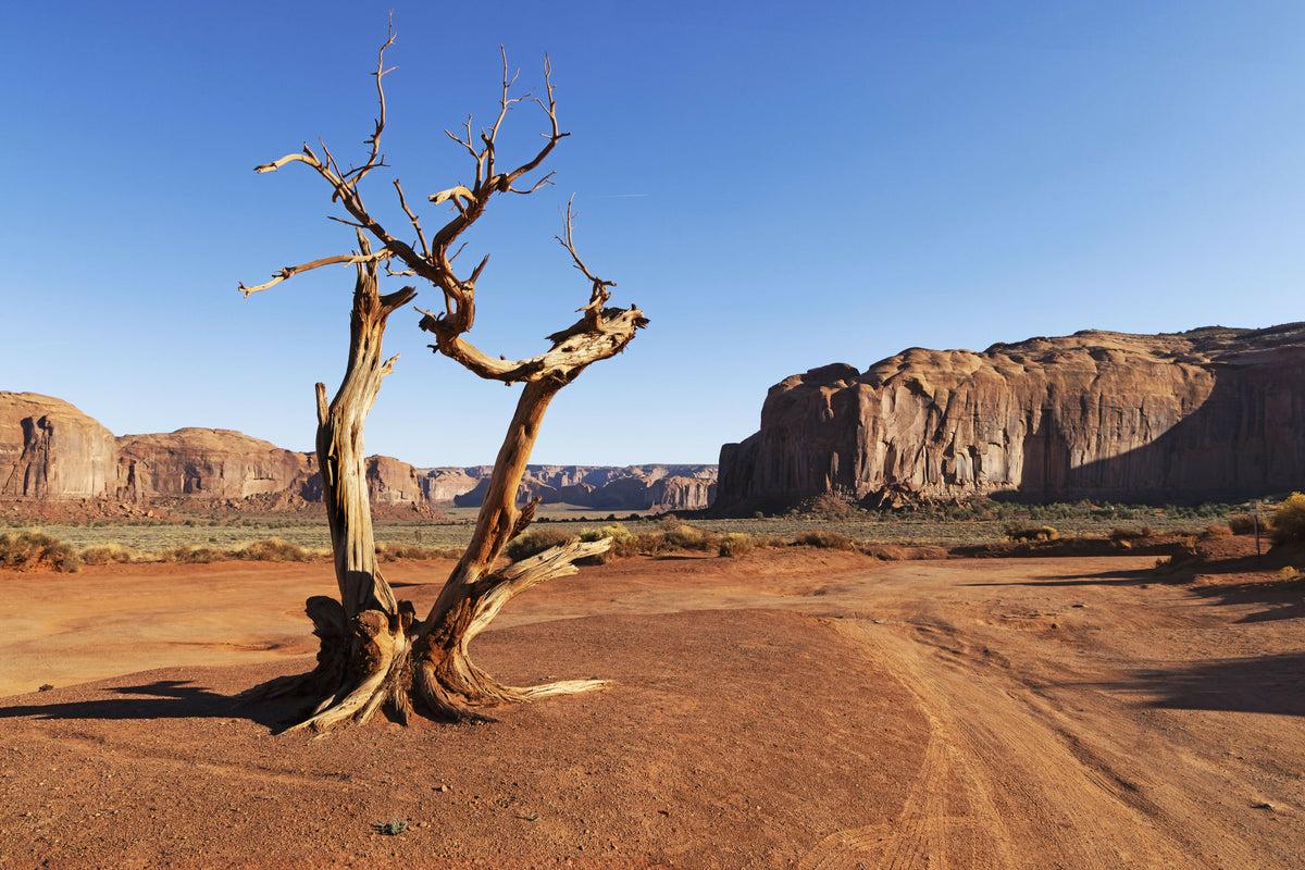 Arizona, Monument Valley Tribal Park, Monument Valley – A Colorful View