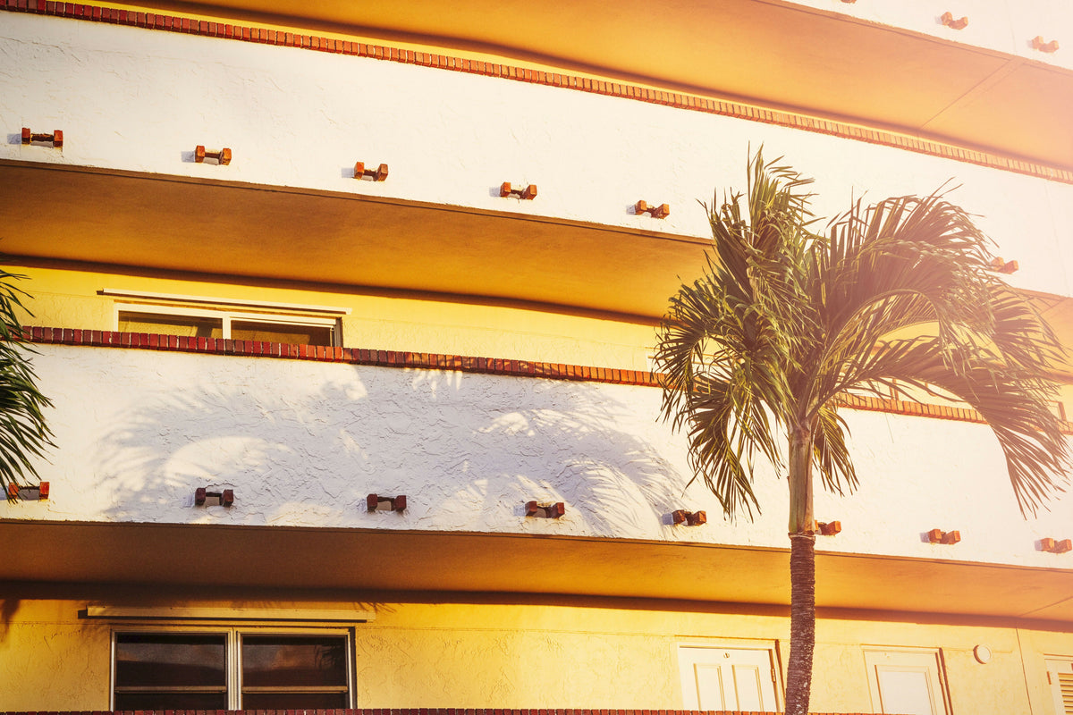 Round Shaped Condominium with Palm Tree in South Florida