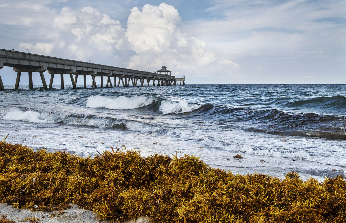 Florida, South Florida, Deerfield Beach, Pier