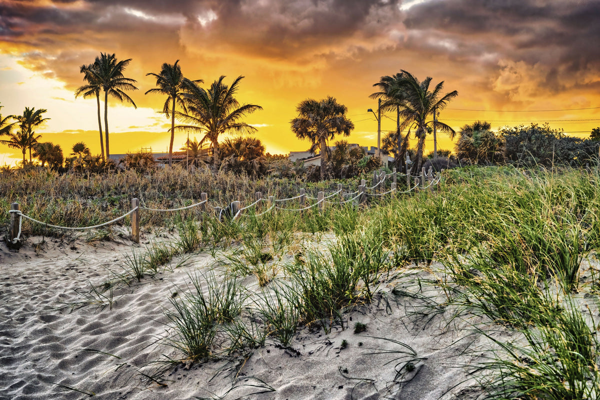 Serene Beach with Palm Trees at Sunset