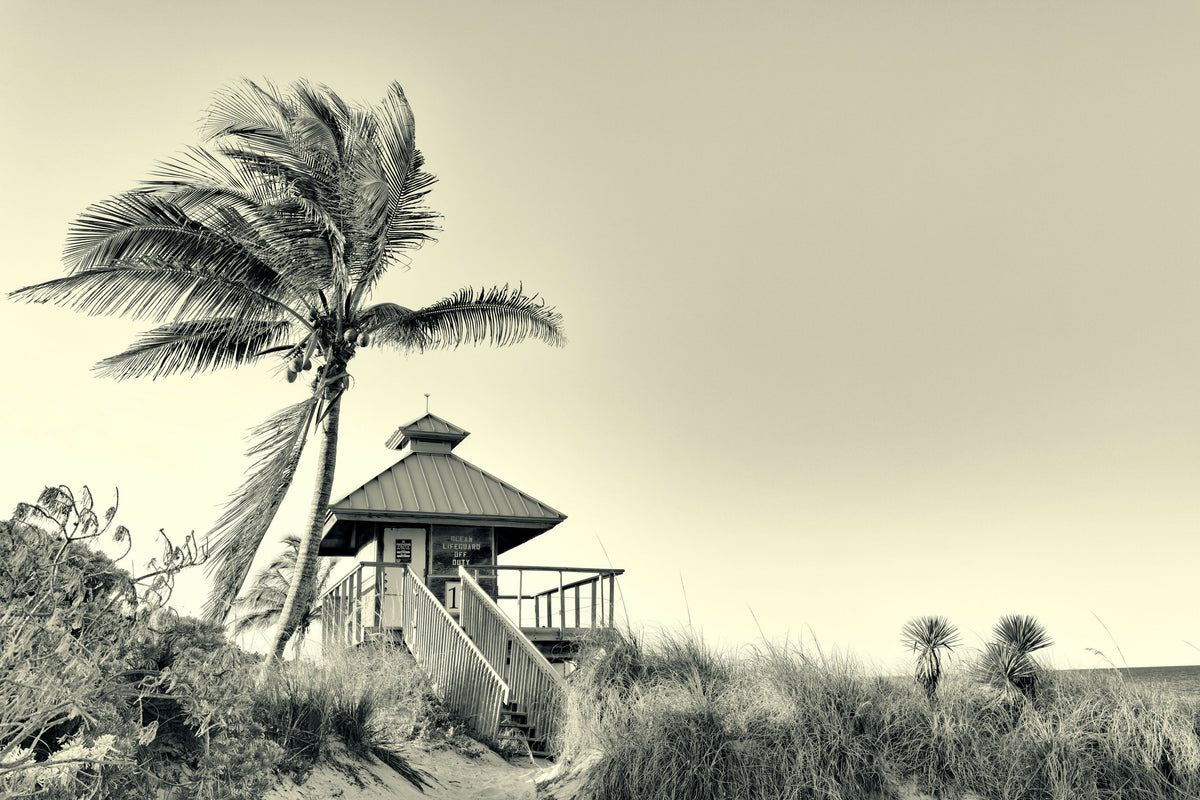 Florida, Boca Raton, Lifeguard Tower with Palm Tree at the Beach – A Peaceful View