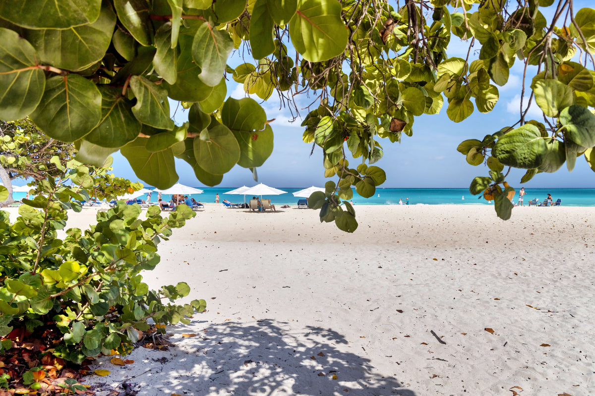 Aruba, Eagle Beach Scene – A Beautiful View