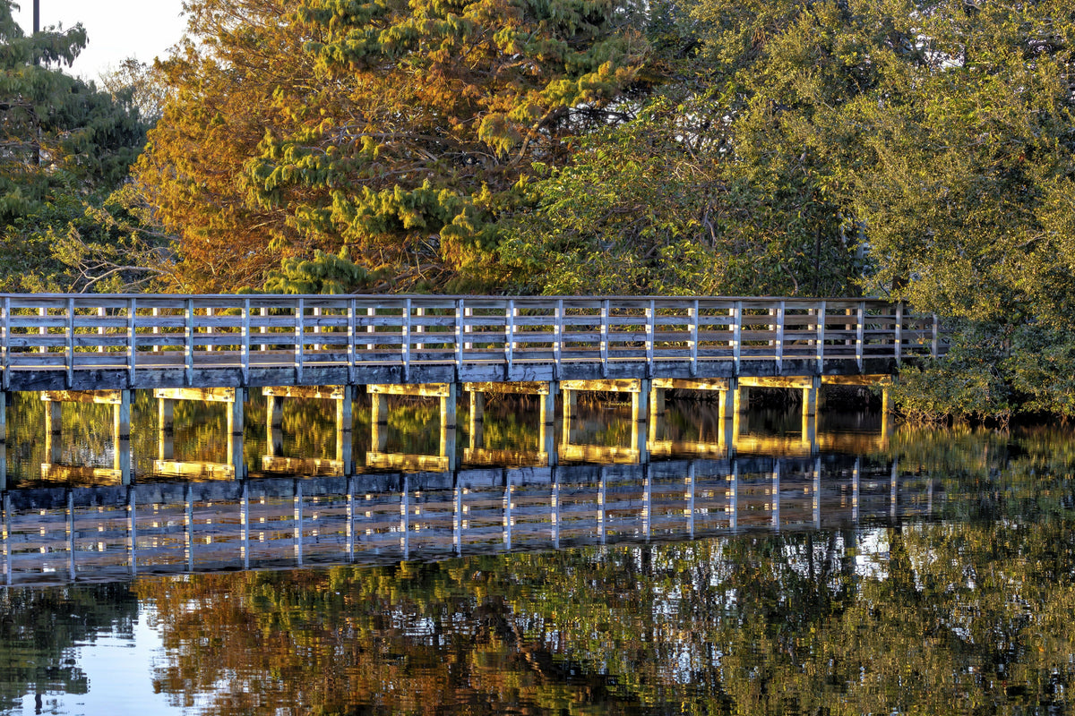 Florida, Delray Beach, Wakodahatchee Wetlands, Elevated Boardwalk