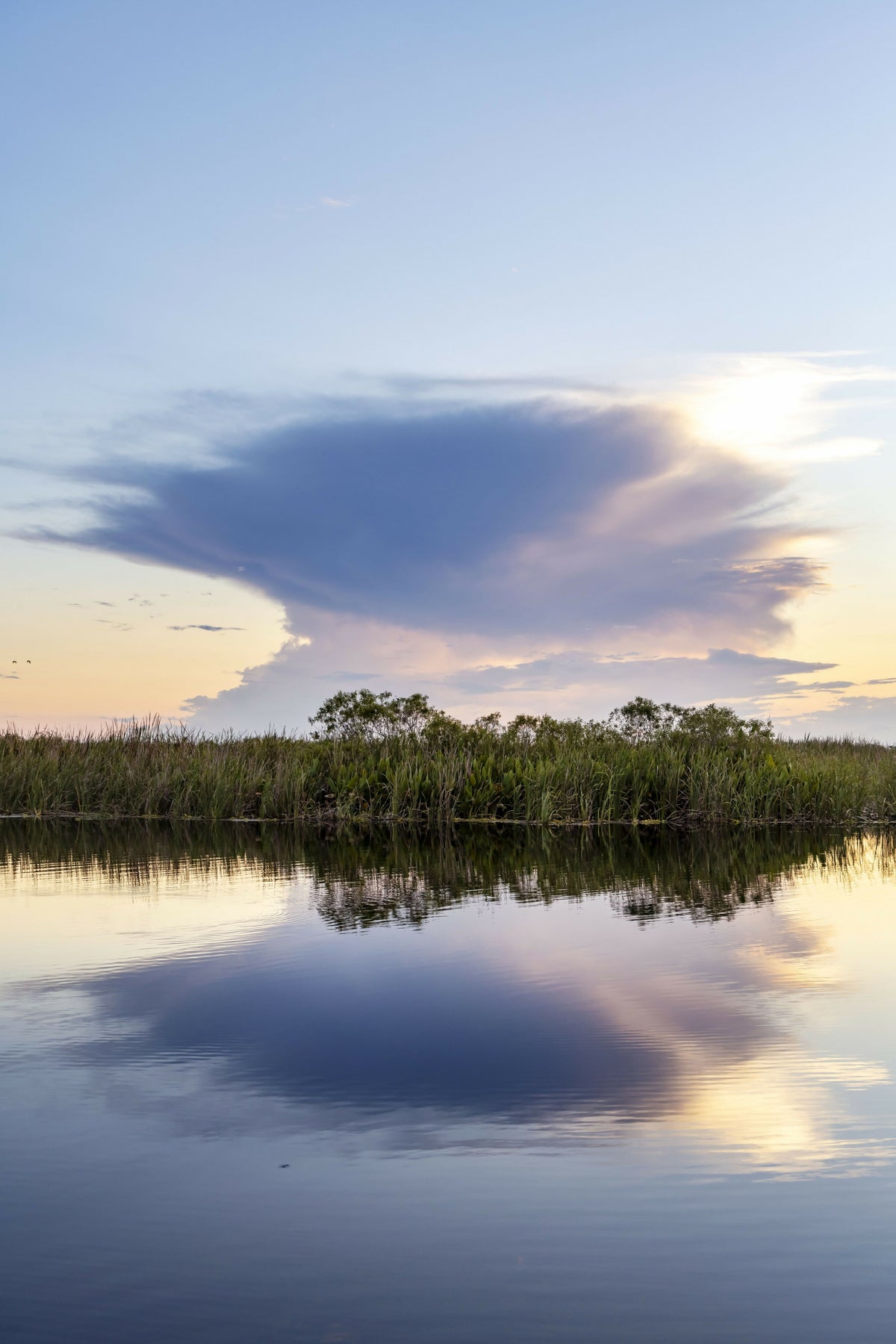 Unusual Cloud Formation Exploding over Wetlands