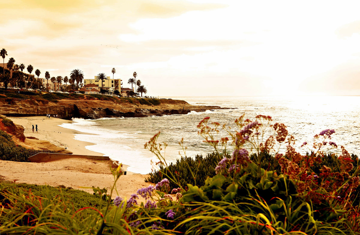 California, San Diego, La Jolla Cove – A Scenic View