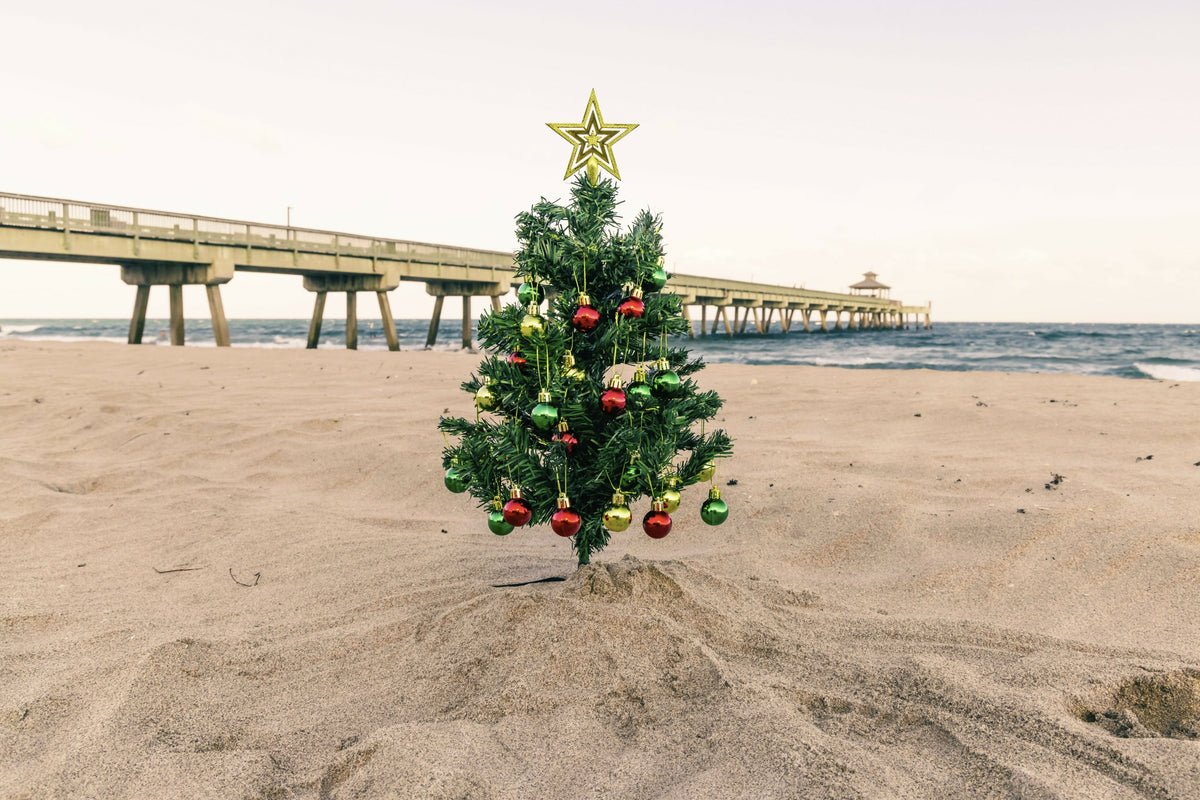 Florida, South Florida, Deerfield Beach Pier & Christmas Tree