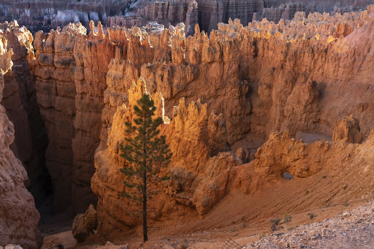 Utah, Colorado Plateau, Bryce Canyon National Park