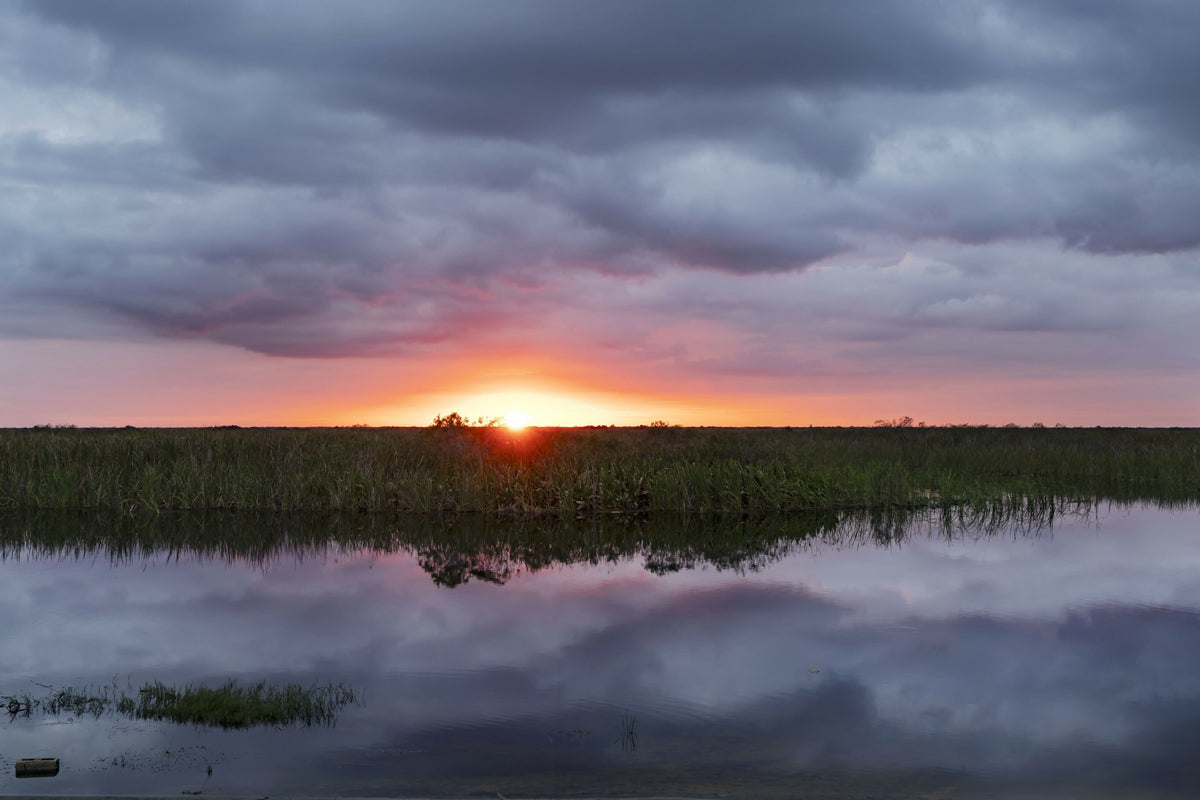 Florida, Everglades, Arthur R. Marshall Loxahatchee Wildlife Refuge – A Tranquil View