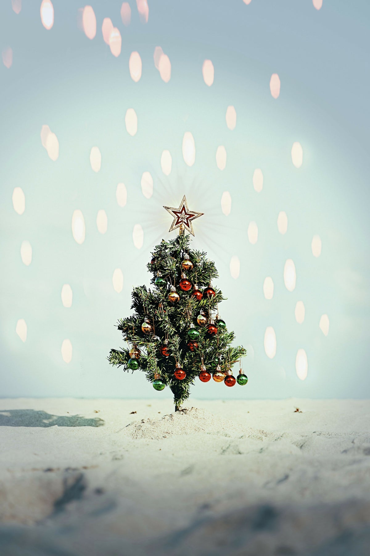 Christmas Tree at the Beach