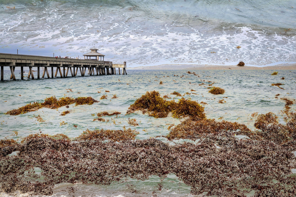Florida, South Florida, Deerfield Beach Pier, Conceptual Image
