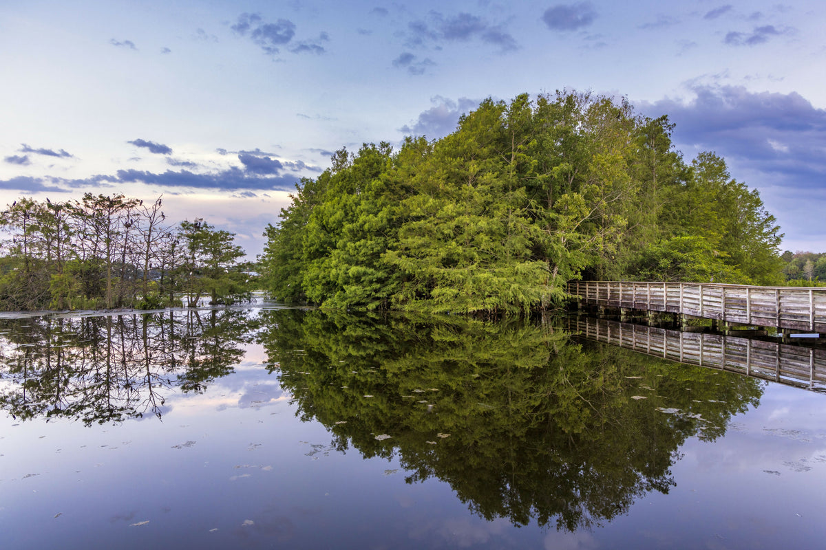 Florida, Boynton Beach, Green Cay Nature Center & Wetlands, Wooden Footpath Leading Into the Woods