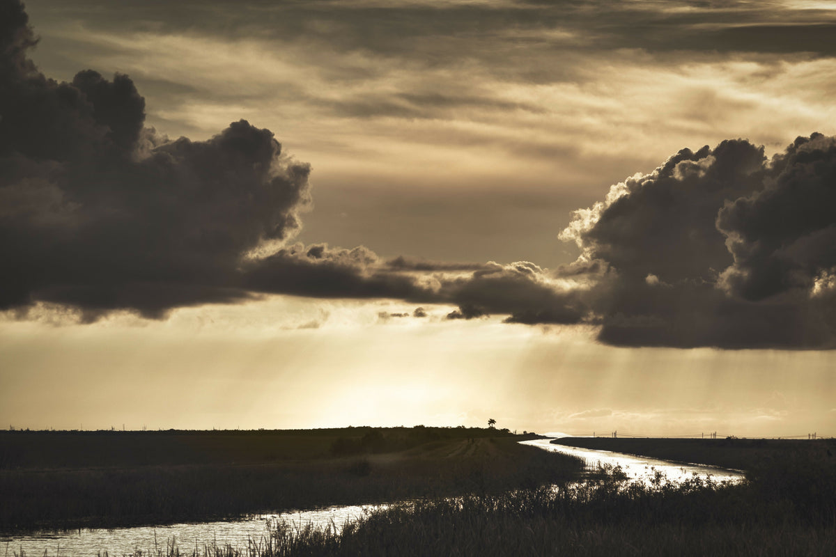 Florida, Everglades