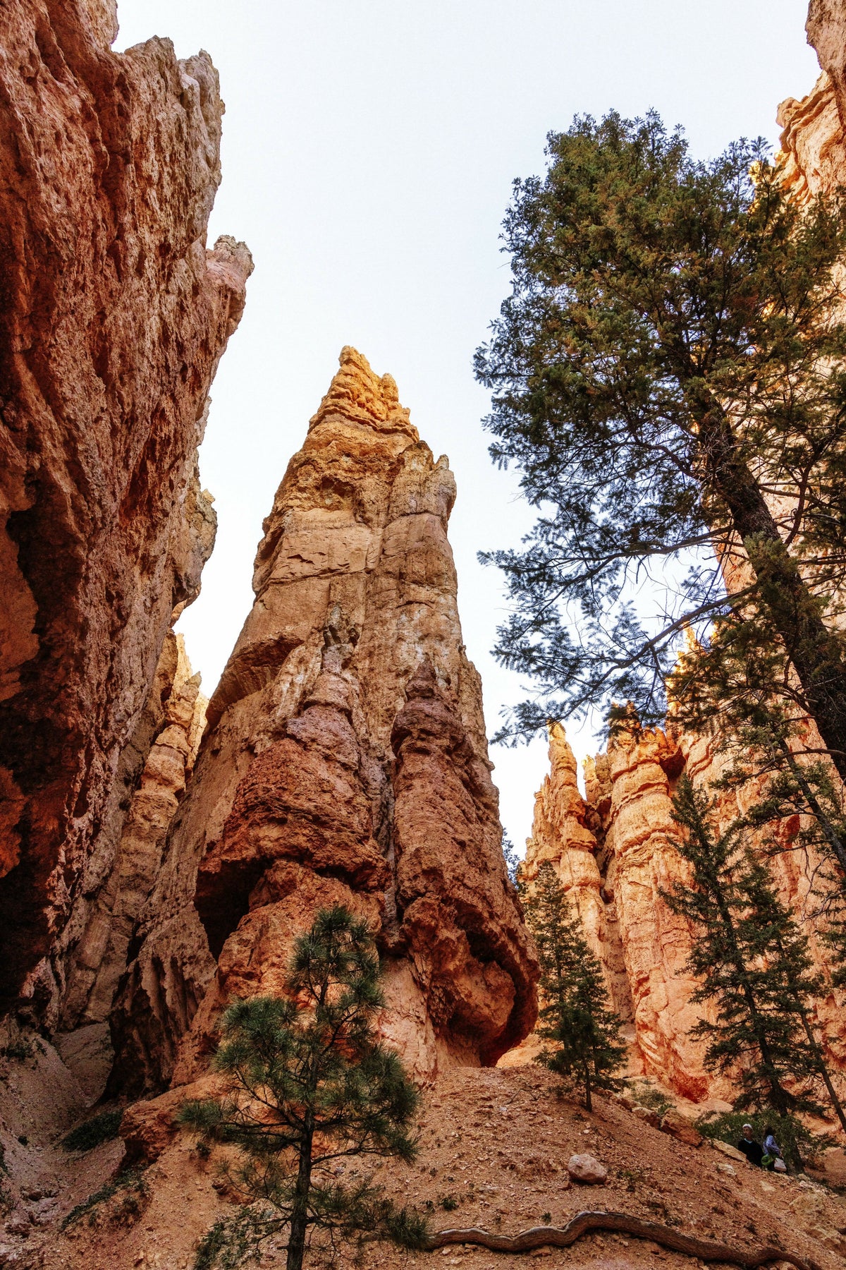 Utah, Colorado Plateau, Bryce Canyon National Park – A Captivating View