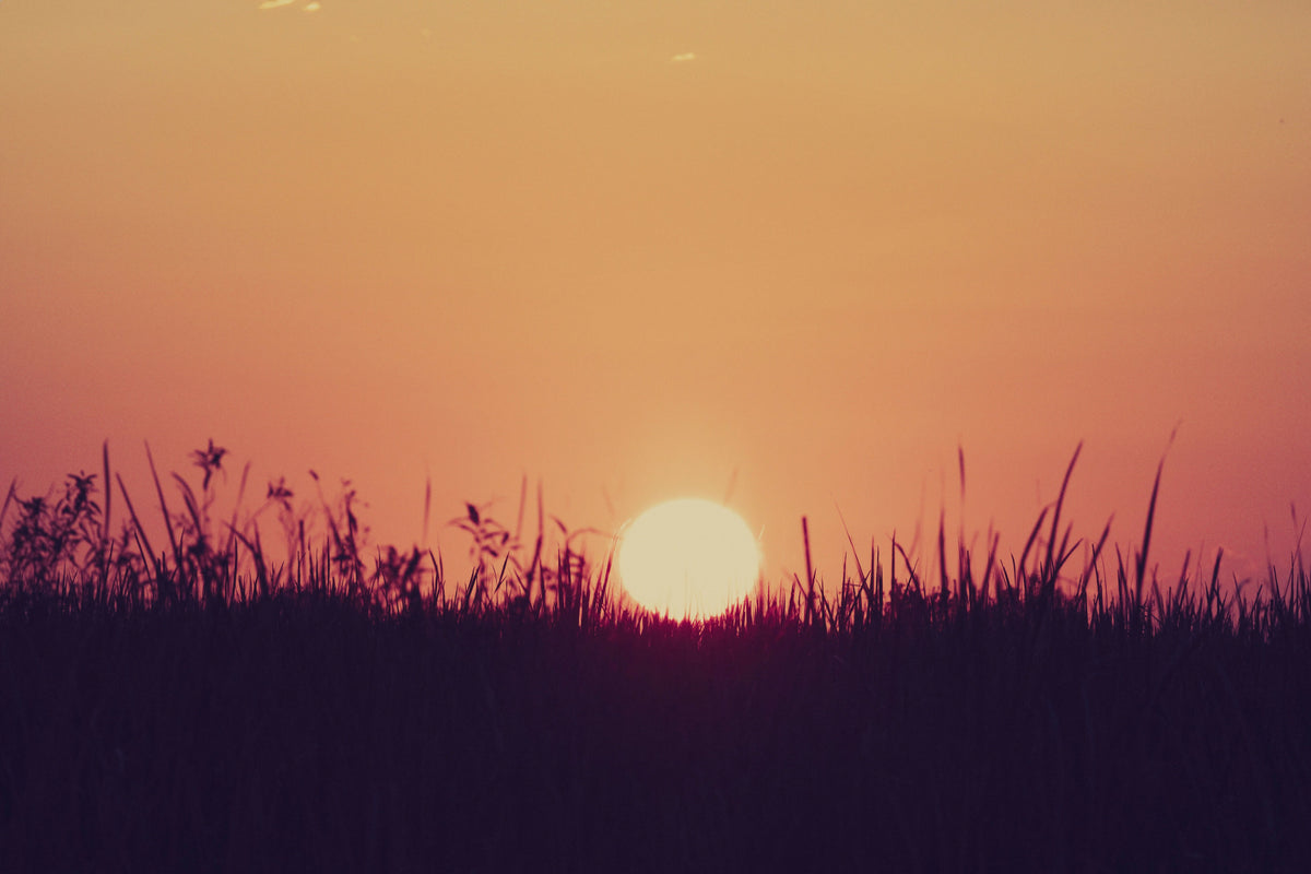 Sunset over Wetlands