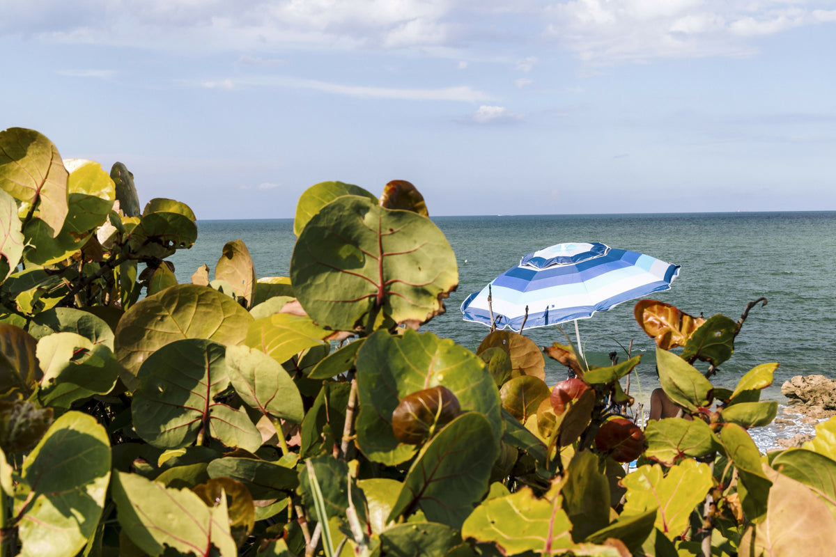 Florida, South Florida, Tequesta Beach, Coral Cove Park – A Peaceful View