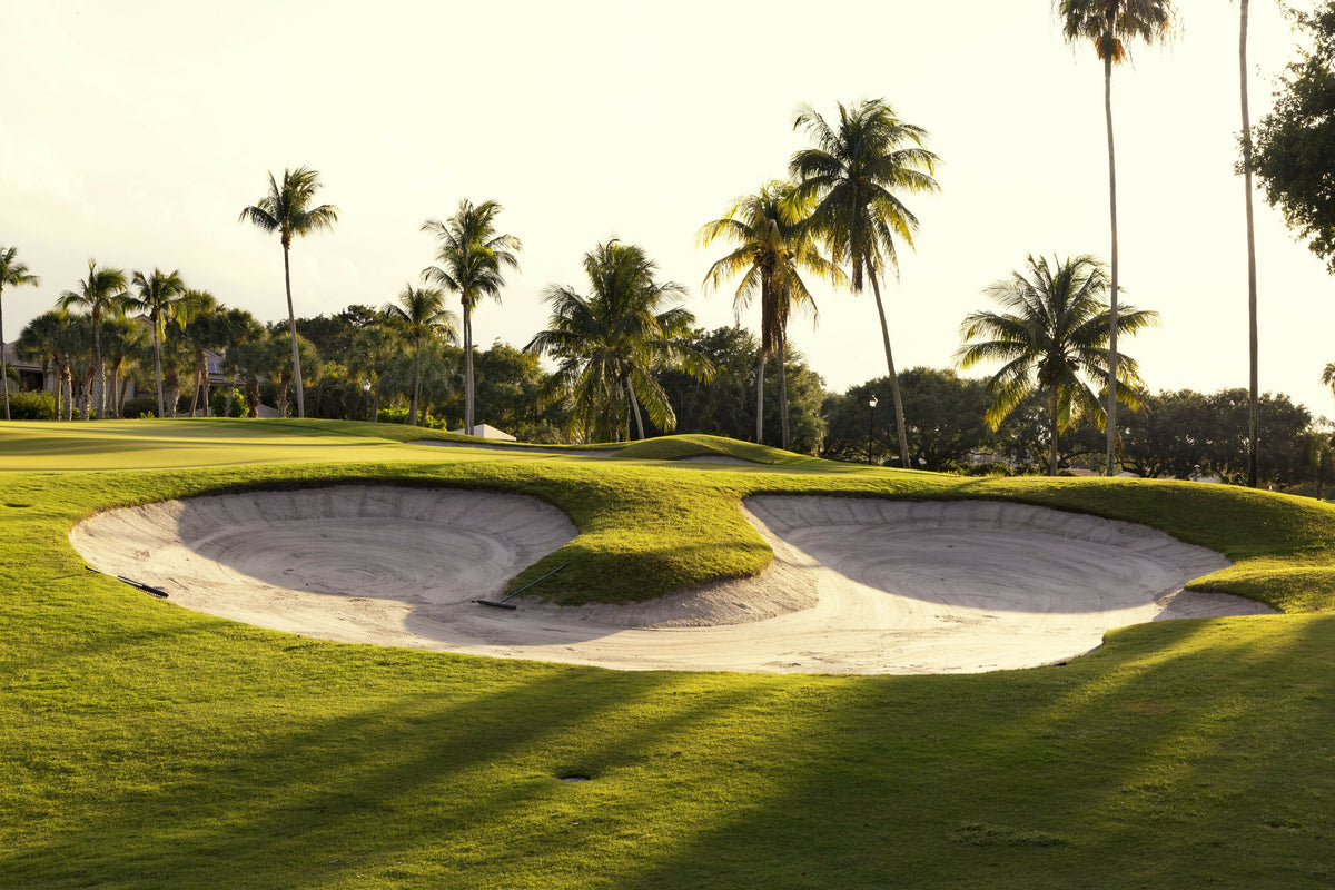 Florida, Boca Raton, Golf Course with Palm Trees