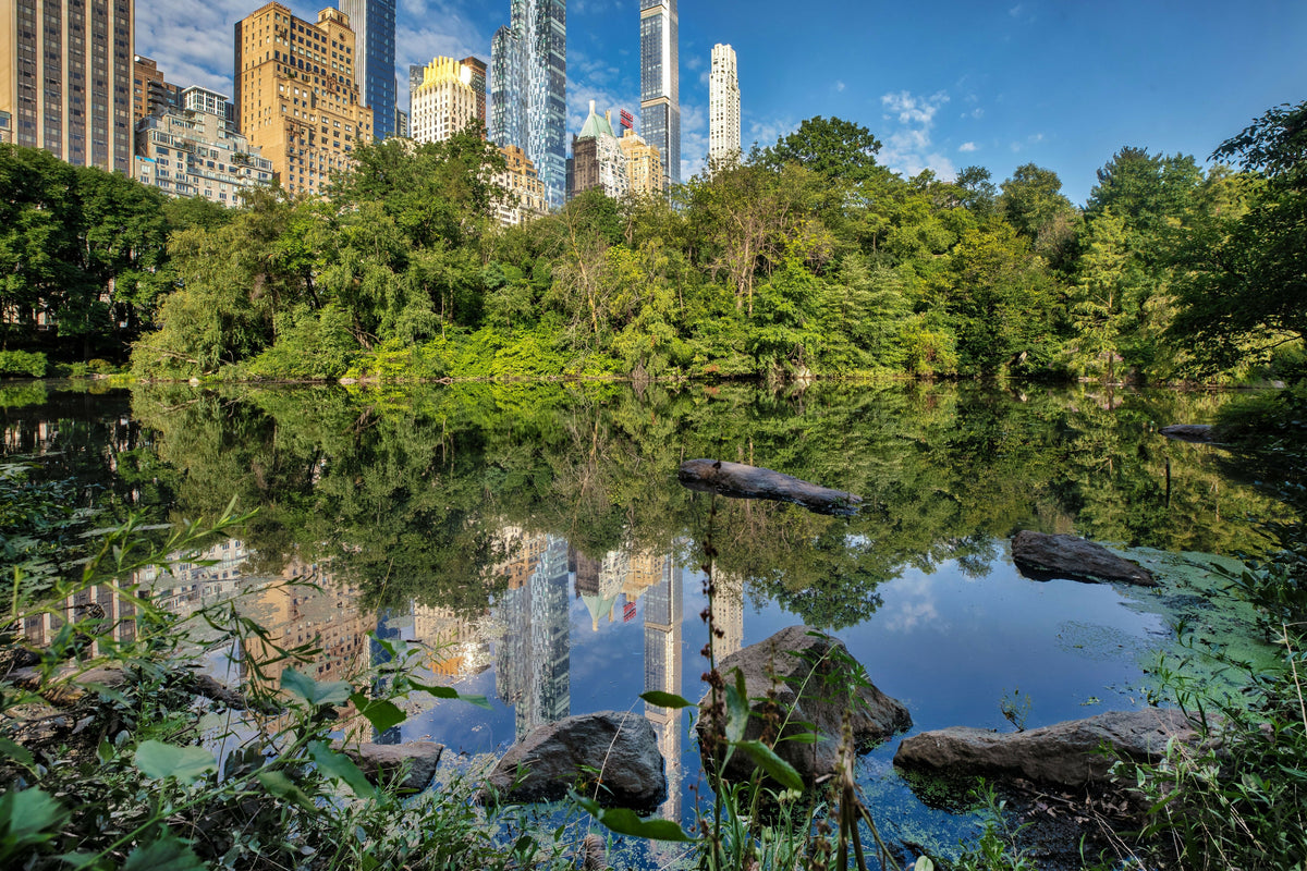 USA, New York City, Manhattan, Central Park, the Pond near Central Park South with Lush Greenery and Reflections of Midtown Skyscrapers, Including the Essex House and Billionaires’ Row, on a Sunny Day