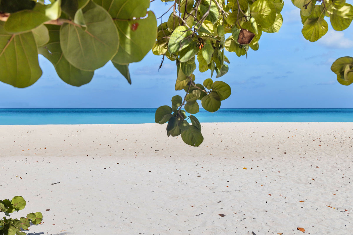 Aruba, Eagle Beach Scene – A Scenic View