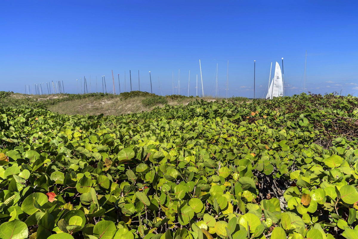 Florida, South Florida, Delray Beach