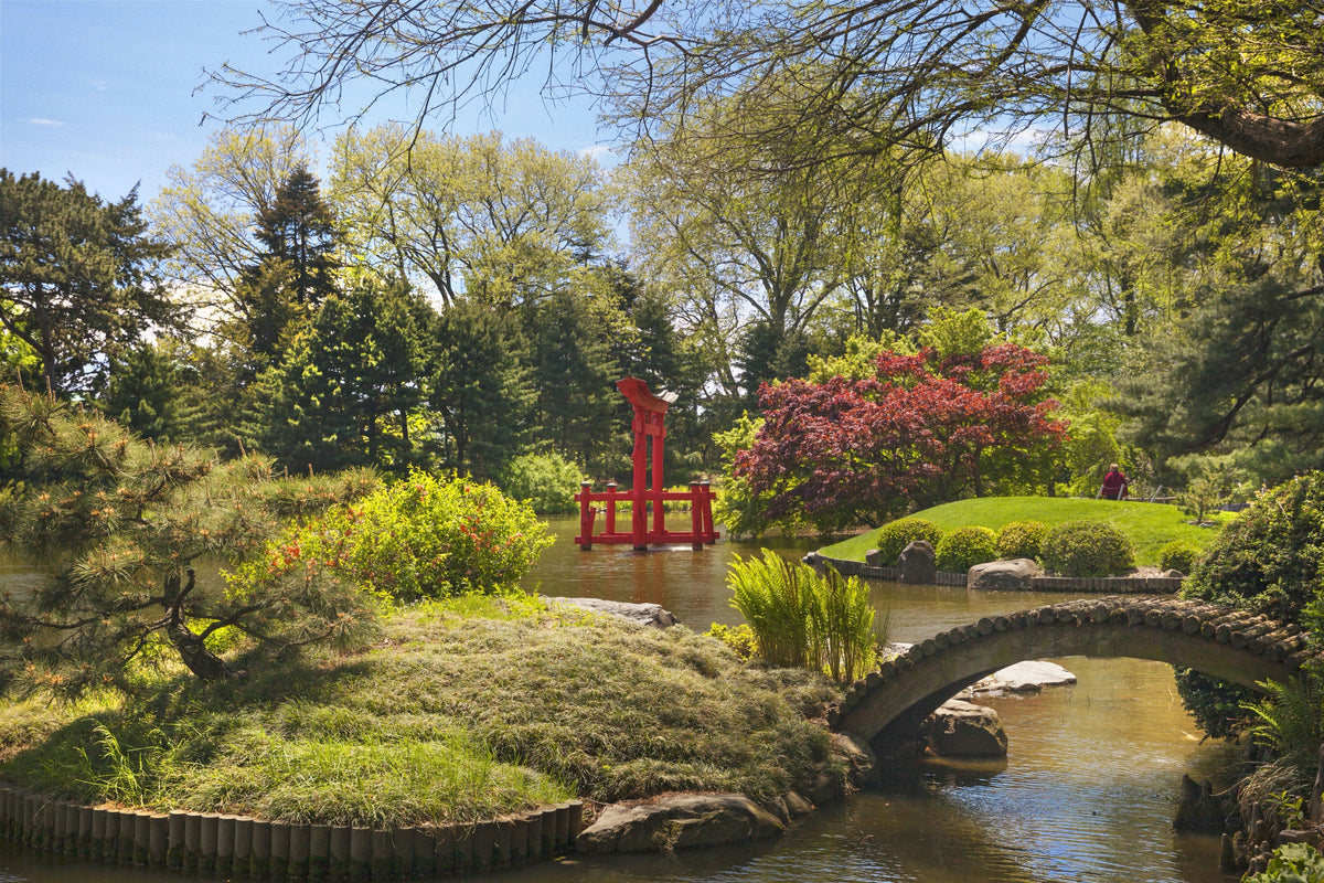 New York, Brooklyn, Brooklyn Botanic Garden, Japanese Hill-and-Pond Garden, Torii and Bridge