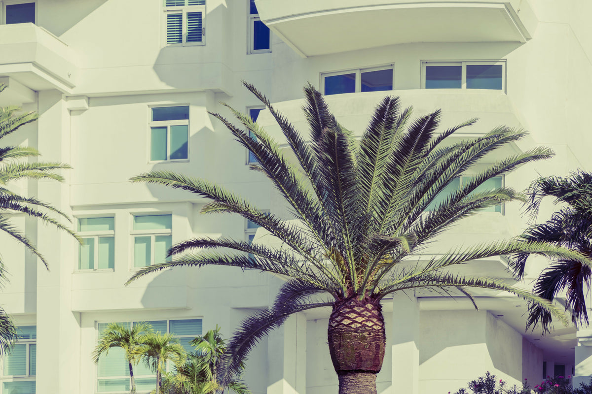 Modern Building in Boca Raton Florida