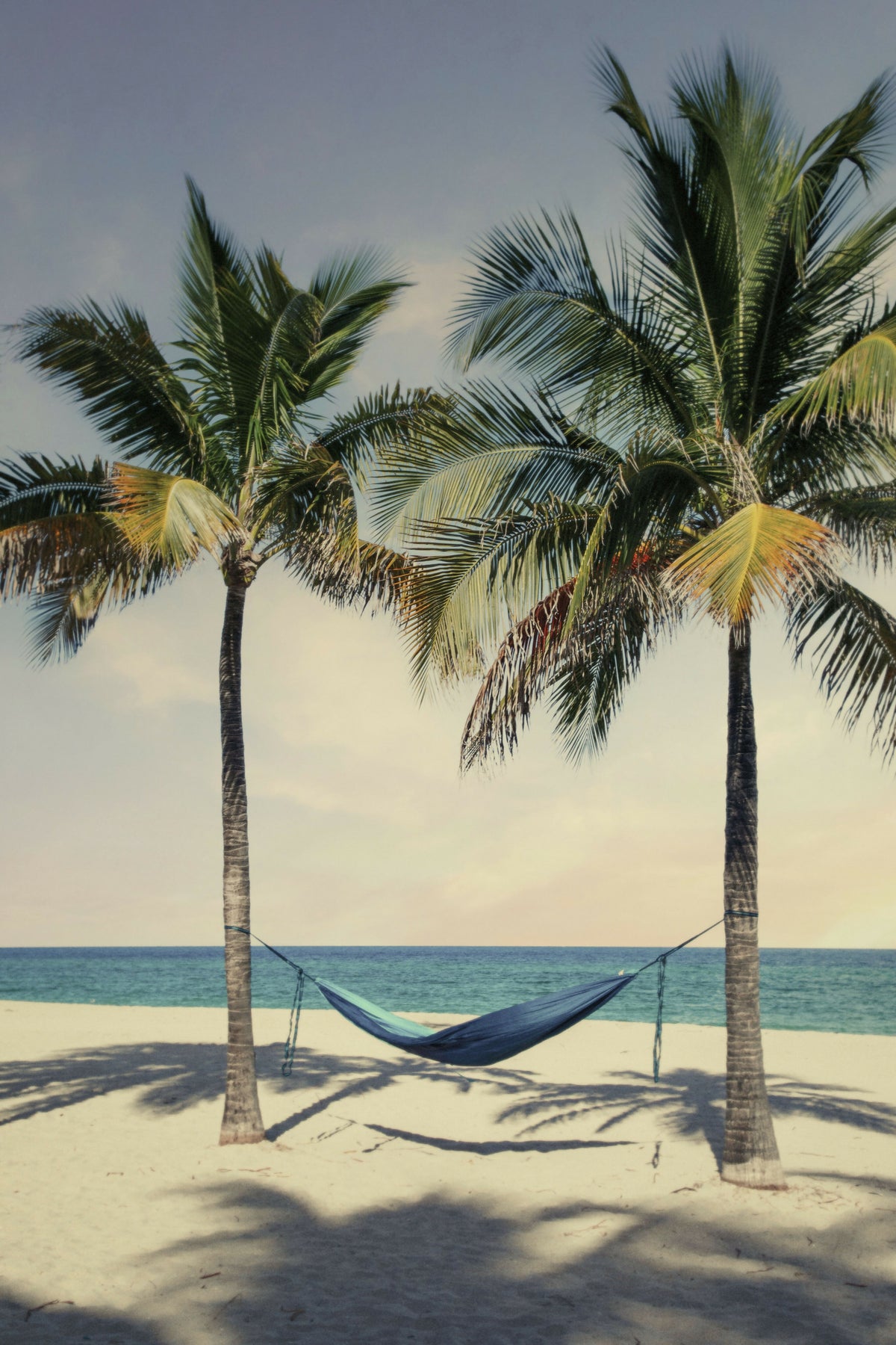 Florida, South Florida, Hollywood Beach, Hammock Hanging Between Two Palm Trees – A Serene View