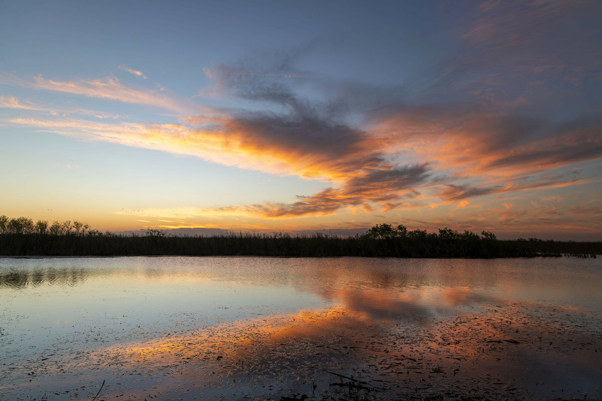 Florida, Boynton Beach, Arthur Marshall Loxahatchee National Wildlife Refuge