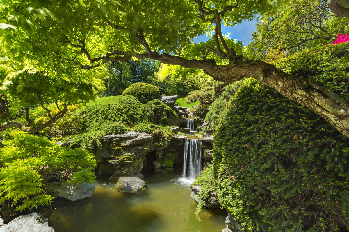 New York City, Brooklyn, Brooklyn Botanic Garden, Japanese Hill and Pond Garden