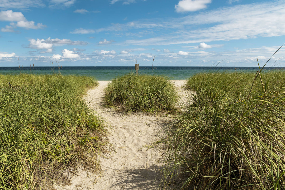 Florida, South Florida, Hollywood Beach, Entrance – A Tranquil View