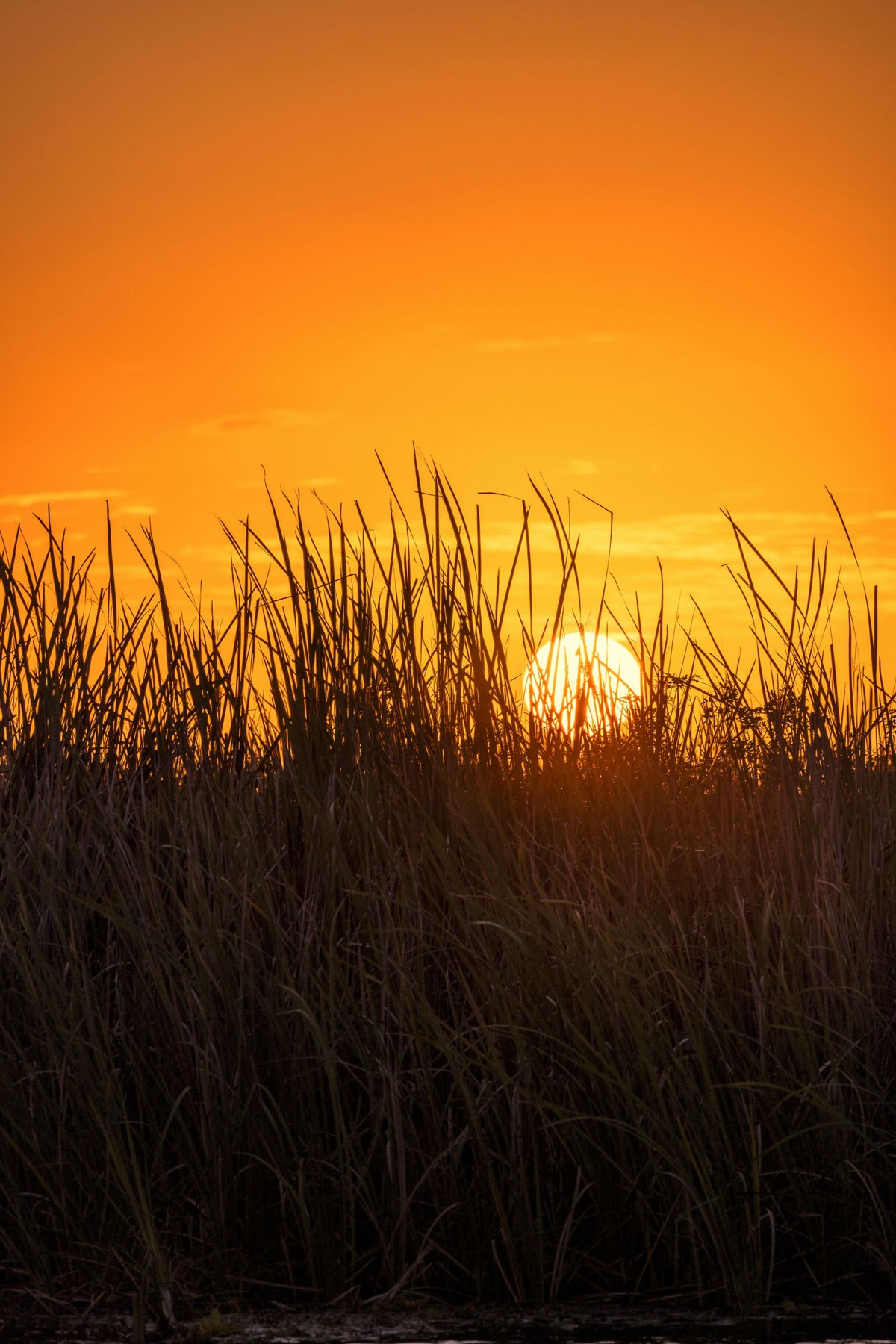 Sunset over the Everglades