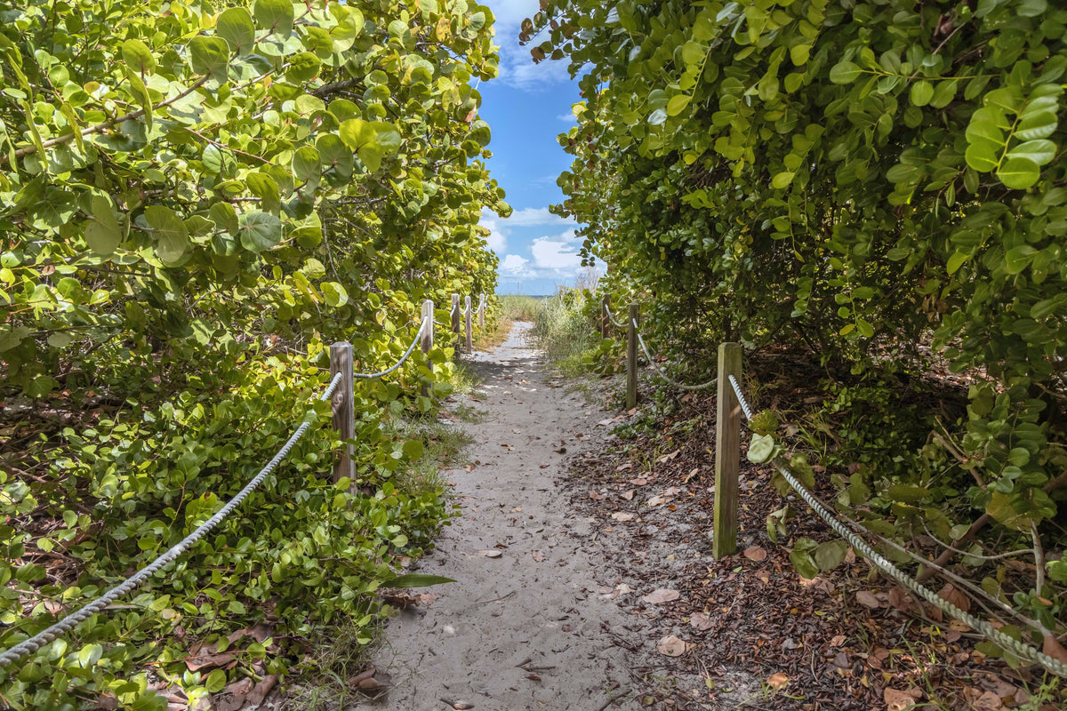 Florida, South Florida, Hollywood Beach, Entrance – A Serene View