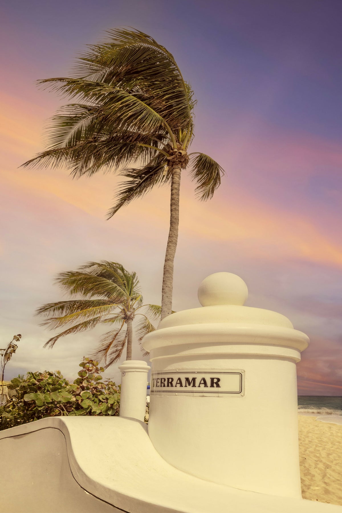 Florida, Fort Lauderdale, Beach with Part of the Wave Wall on Terramar Street, Palm Tree Blowing in Wind – A Serene View