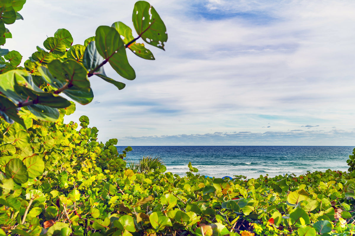 Florida, Delray Beach