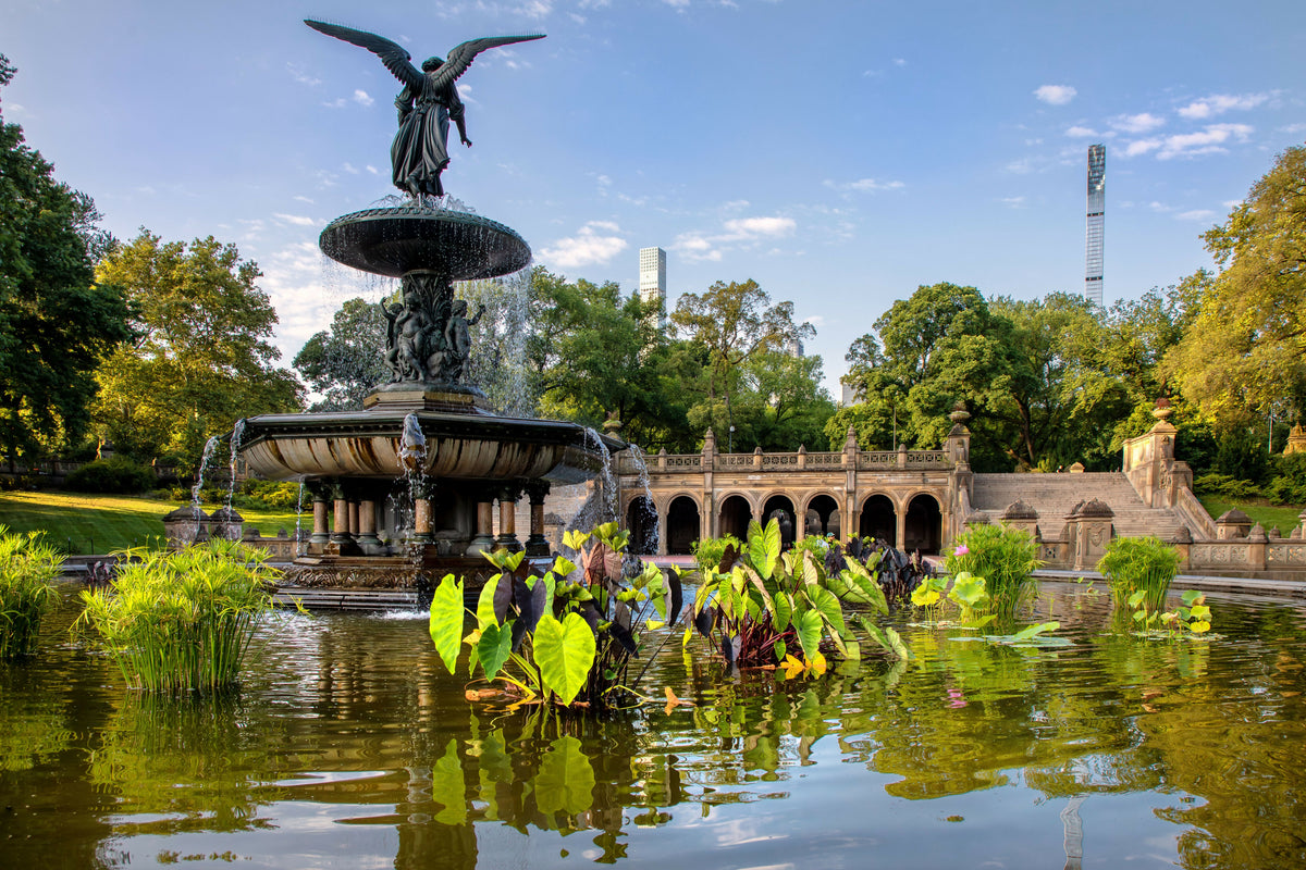 USA, New York City, Manhattan, Central Park, Bethesda Fountain, Also Known As Angel of the Waters, with Bethesda Terrace, Summer Greenery, Aquatic Plants, and Midtown Skyscrapers in the Background