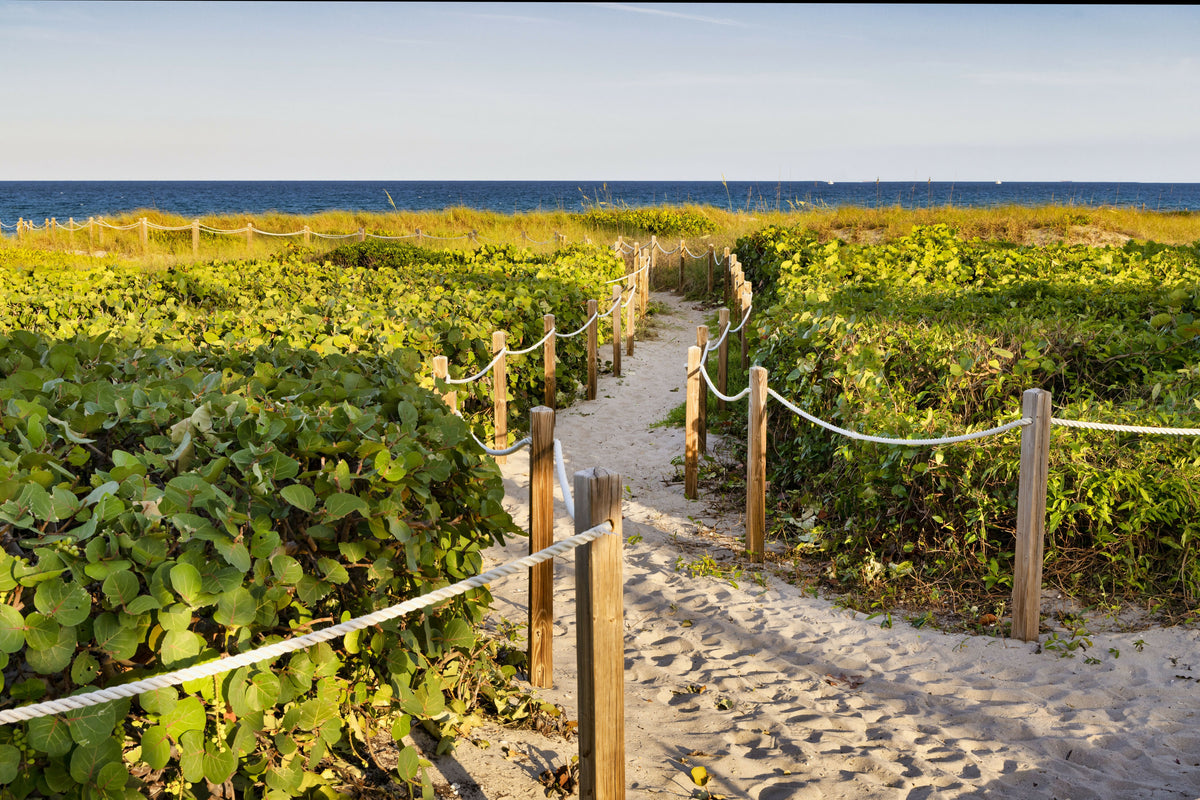 Florida, Delray Beach, Pathway Leading to Beach
