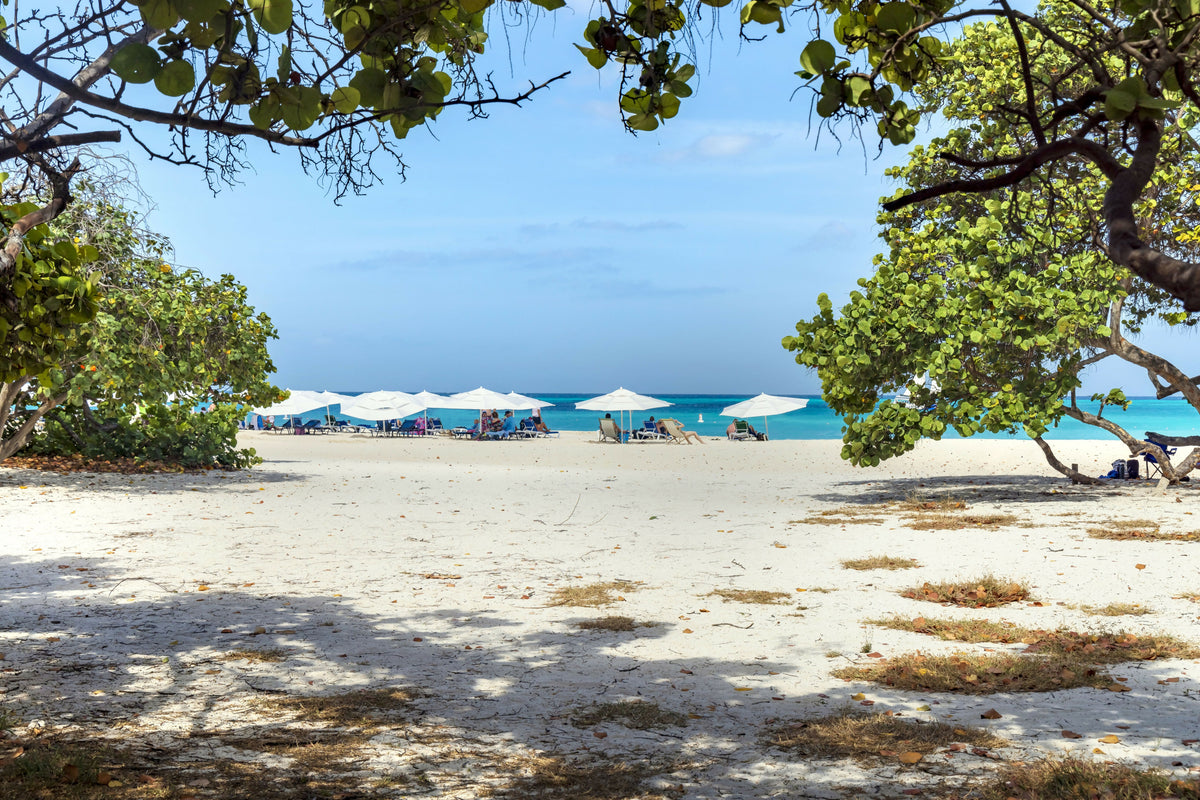 Aruba, Eagle Beach Scene – A Inspiring View