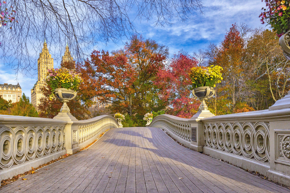 NYC, Manhattan, Central Park, Bow Bridge During Autumn