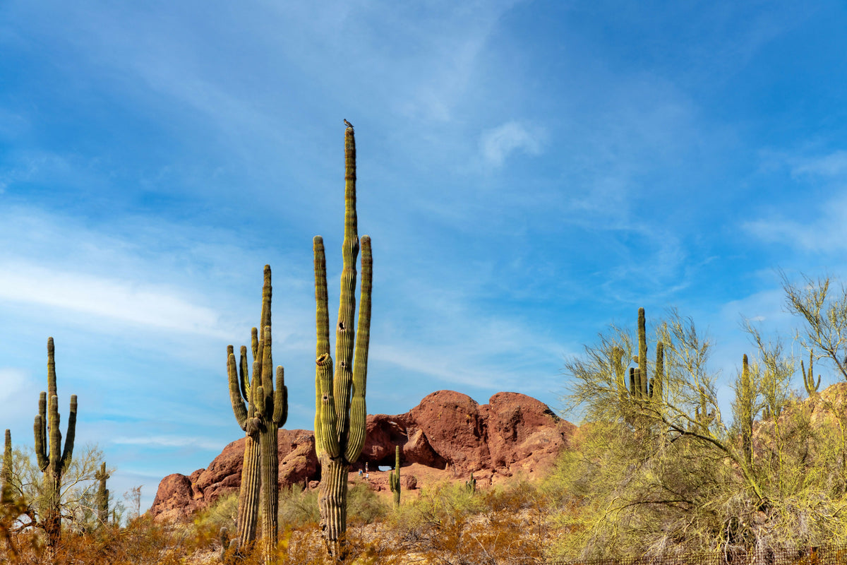 USA, Arizona, Phoenix, Papago Park, View of Papago Buttes, Hole-in-the-Rock Area